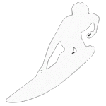 Surfer Skill Level
